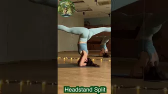 Morning Yoga Stretching Headstand Straddle Split Yoga #shorts