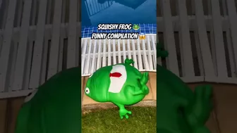 Frog ???? funny compilation ????