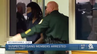 8 suspected gang members arrested in Palm Beach County