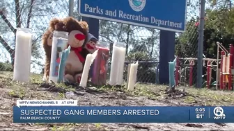 8 suspected gang members arrested in Palm Beach County