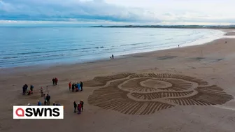 Huge 90ft poppy carved onto beach ahead of Remembrance Day | SWNS