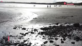 Huge 90ft poppy carved onto beach ahead of Remembrance Day | SWNS