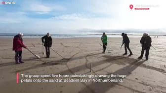 Huge 90ft poppy carved onto beach ahead of Remembrance Day | SWNS