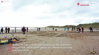 Huge 90ft poppy carved onto beach ahead of Remembrance Day | SWNS