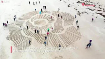 Huge 90ft poppy carved onto beach ahead of Remembrance Day | SWNS