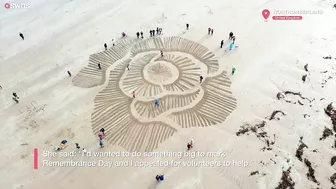 Huge 90ft poppy carved onto beach ahead of Remembrance Day | SWNS