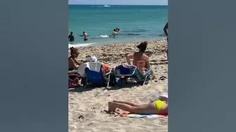 ???????? Beautiful day at Miami beach walk | beach walk 4k#beach #travel #summer #sea #nature (5)