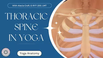 Thoracic Spine in Yoga - Online Yoga School