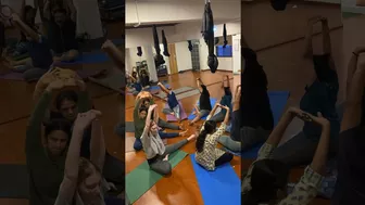 Group yoga practice #shorts #shortvideo #trending #trendingshorts #youtubeshorts #bodybalance #yoga