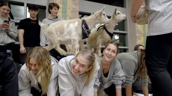 Siena Hosts GOAT YOGA