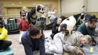 Siena Hosts GOAT YOGA