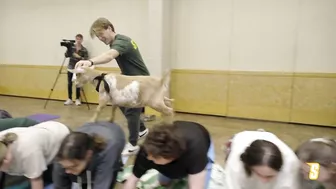 Siena Hosts GOAT YOGA