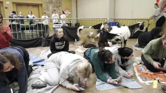 Siena Hosts GOAT YOGA