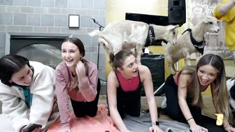 Siena Hosts GOAT YOGA