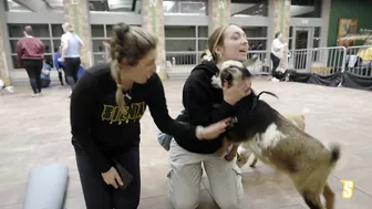 Siena Hosts GOAT YOGA