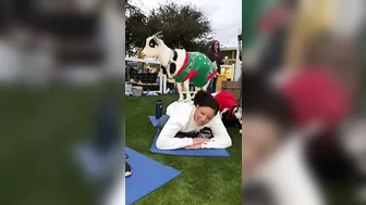 Prepping for finals with Goat Yoga! #asu #asuwest #finals #goatyoga