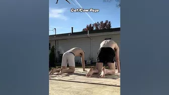 How to do Cat/Cow Pose - Yoga for Men #shorts