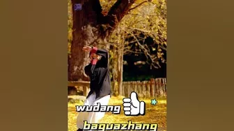 Wudang baguazhang is as flexible as water #kungfu #baguazhang