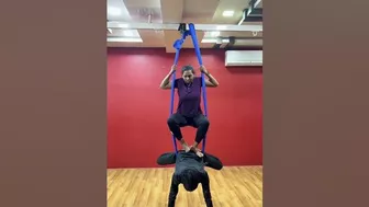 Aerial yoga !! Aerial yoga India !! Aerial yoga teacher training centre Raipur C.g !! #viral #shorts