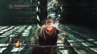 DARK SOULS II - Centinela flexible