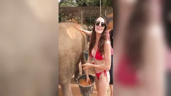 Elephant spa day! Bikinis and elephants… great pair! #elephant #bikini #thailand