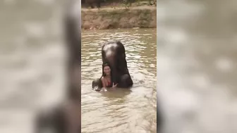 Elephant spa day! Bikinis and elephants… great pair! #elephant #bikini #thailand