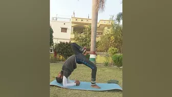 #yogamaster_ashish #trending #viral #viralvideo #yoga #youtubeshorts #animals #anime