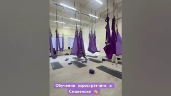 Первое обучение 2024 году в Смоленске. #аэростретчинг #stretching #hammocks #аэройога