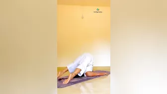 Halasana #yogaurmi #urmiyogaacademy #yogapose #yogateacher #yogaasana #asana #motivation #yoga #love