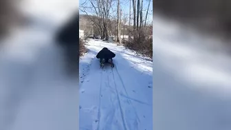 Making good use of icy drive on a genuine flexible flyer. #daddydaughter #sledding #flexibleflyer