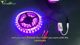 Flexible SMD 5050 RGB LED Strip