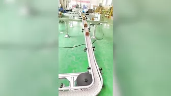 High quality flexible chain conveyor