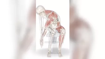 "Unlock Your Core: Quadratus Lumborum Stretching Routine for Back Relief" #stretching