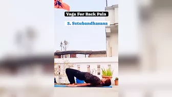 Yoga For Back Pain ????‍♀️ #yoga #backpainrelief #benefits #yogashort #shortsyoutube #spineflexibility