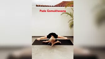 #yoga Pada Gomukhasana Leg Position of Cow Face Pose with Stick #yogaforbeginners #shortvideo #yogi