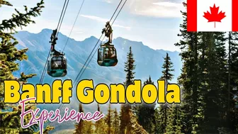 Banff Gondola Experience #banffnationalpark #gondola #albertacanada #travel