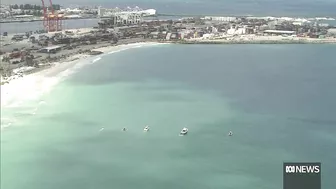 Man missing after shark attack at Port Beach in Fremantle | ABC News