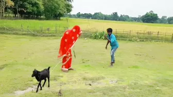 best Amazing Funny Comedy Video 2021 Just for Fun / Bindas Fun LTD Episode 61