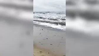 Dangerous Marina Beach Today - Sea Water Changes to Black Colour #FirstTime #Shorts #DanJrVlogs