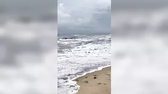 Dangerous Marina Beach Today - Sea Water Changes to Black Colour #FirstTime #Shorts #DanJrVlogs