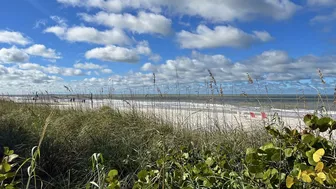 View of the Beach from the Boardwalk at Delnor-Wiggins on a Beautiful Saturday Morning 11.06.21