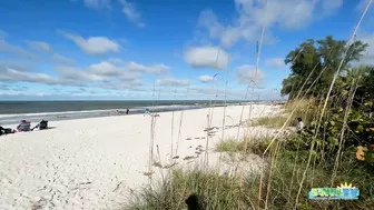 View of the Beach from the Boardwalk at Delnor-Wiggins on a Beautiful Saturday Morning 11.06.21