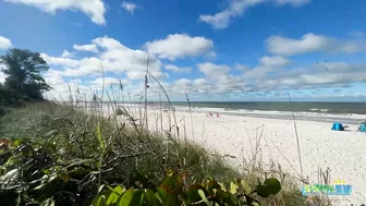 View of the Beach from the Boardwalk at Delnor-Wiggins on a Beautiful Saturday Morning 11.06.21