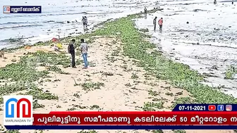 കടല്‍പാമ്പുളള പുതിയ ബീച്ച് രൂപപ്പെട്ട് കൊച്ചി l ernakulam beach in fort kochi