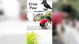 Animal yoga poses for biggener # yoga # viral ???? # yoga pose practice # fit for everyone