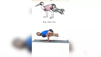 Five Animal Yoga Poses #animalyogaposes #yoga #yogaformen #fitness #instareels #instagram #shorts