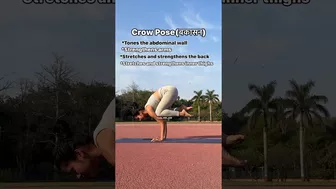 Do regularly crow pose! #yoga #yogagirl #yogapractice #yogi #youtubeshort #shorts #asana #fitness