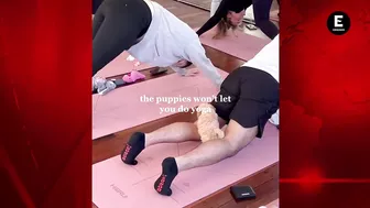 ¿Qué es el yoga con perritos y por qué Italia lo acaba de prohibir?