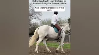 Being flexible while training your horse