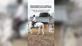 Being flexible while training your horse